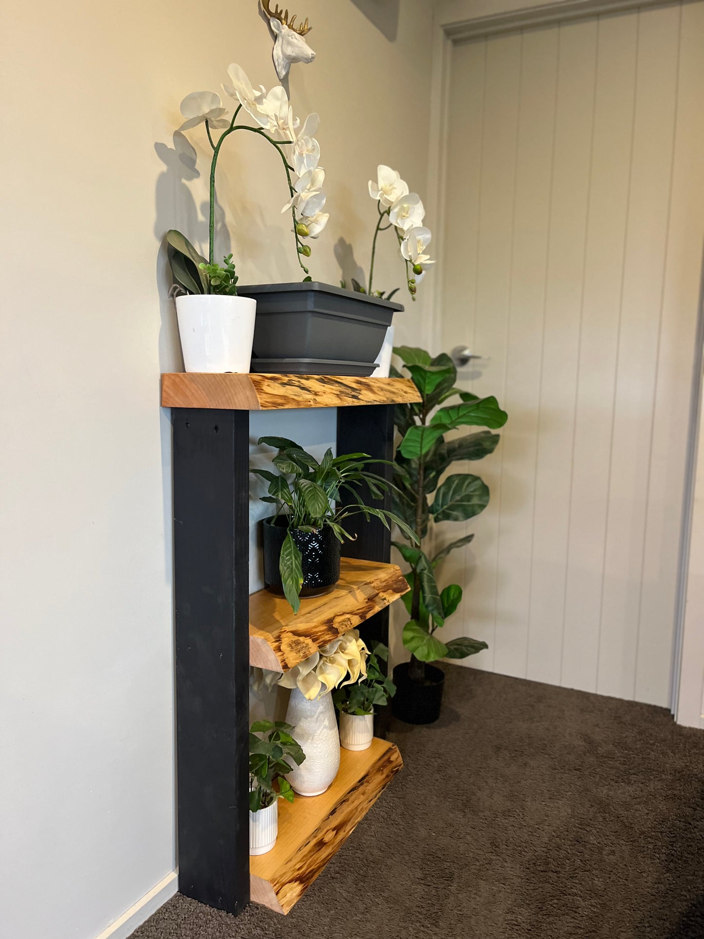 Plant Stand / Bookcase