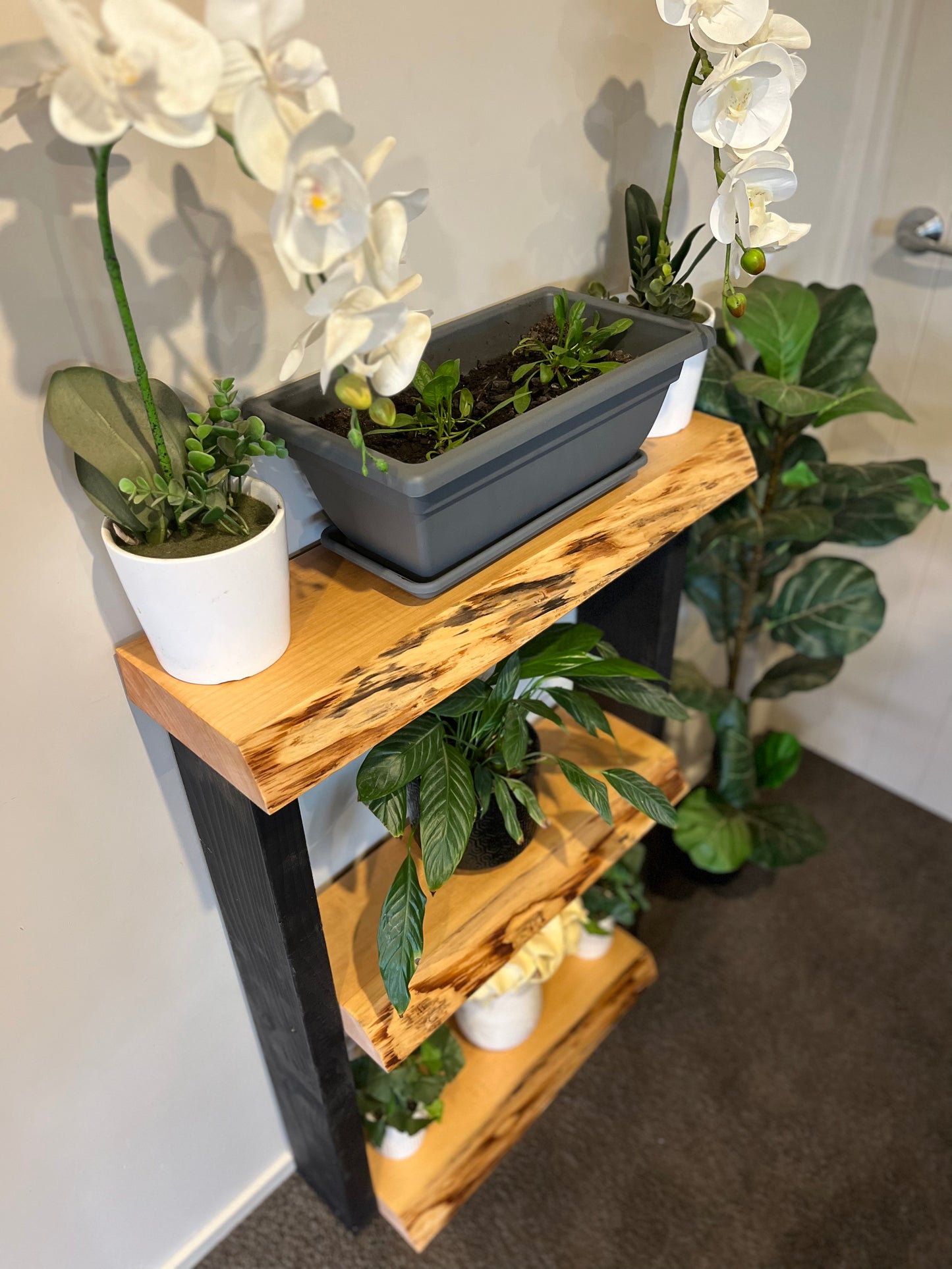 Plant Stand / Bookcase