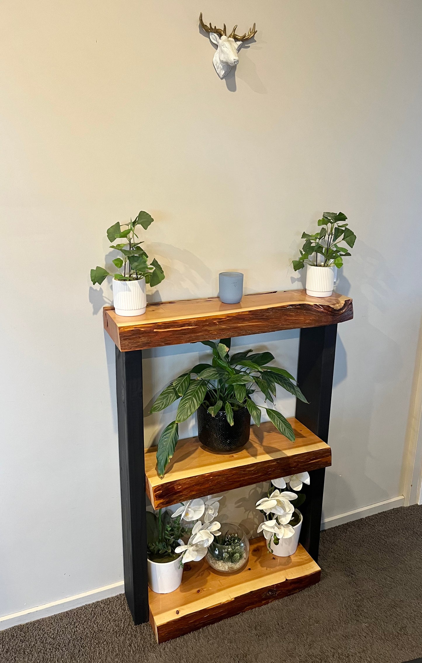 Plant Stand / Bookcase