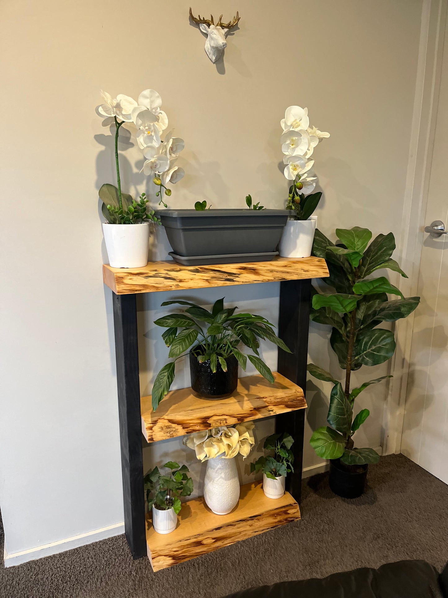 Plant Stand / Bookcase