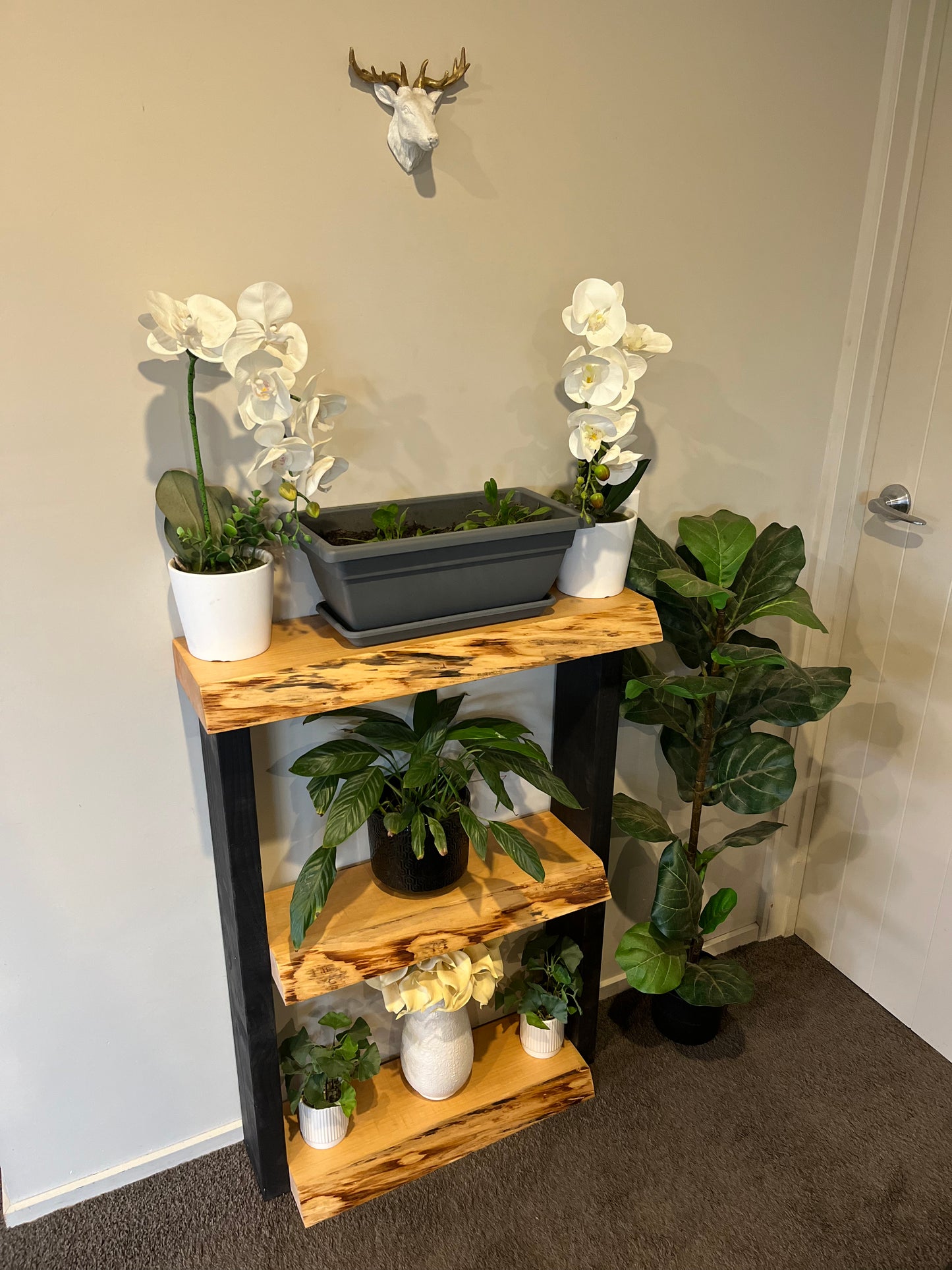 Plant Stand / Bookcase